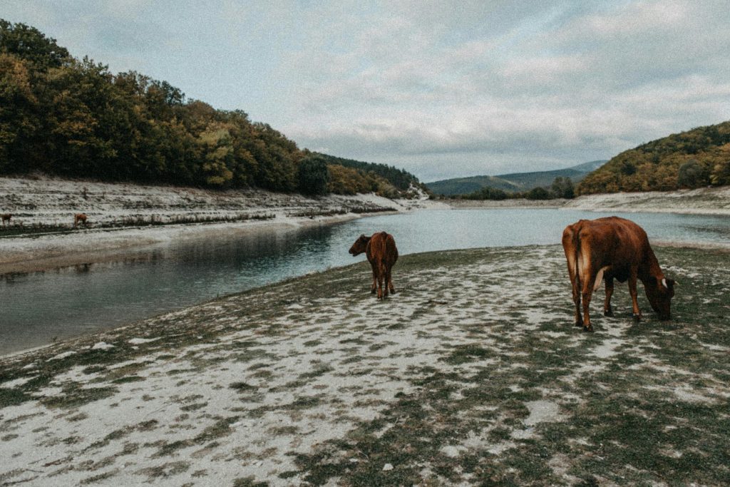 Understanding the Landscape of Hungarian Lending: Insights from Erste Bank, Raiffeisen Bank, and More - Empresas de empréstimo na Hungria