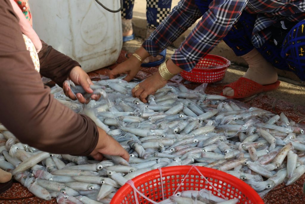 Navigating the Peruvian Loan Market: Expert Recommendations for Picking the Right Lender Including Efectiva and Merite - Empresas de empréstimo no Peru