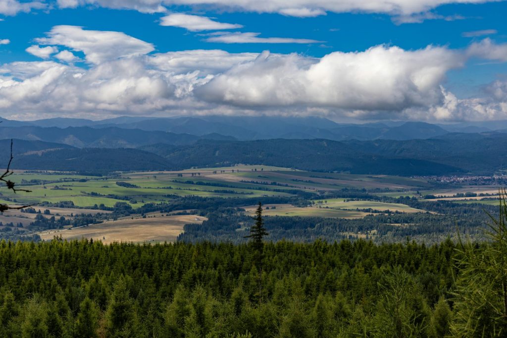 Navigating Slovakias Banking Landscape: A Deep Dive into Tatra Banka and VUB Banka Credit Services - Empresas de cartão de crédito na Eslováquia