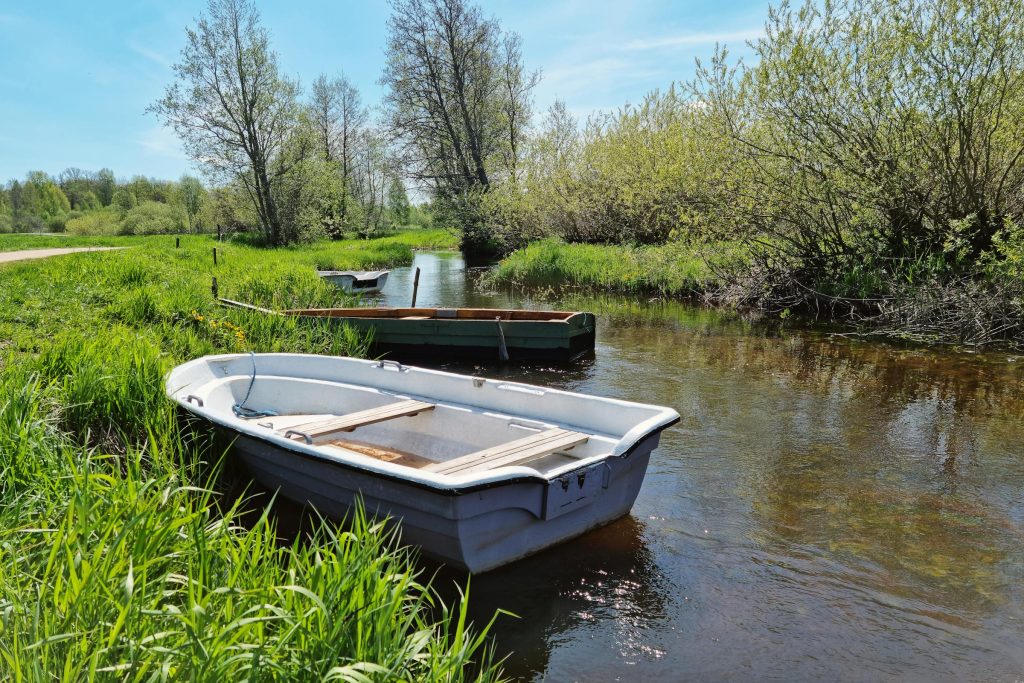 Navigating the Landscape of Loan Providers in Estonia: A Comprehensive Guide to Luminor Bank, Swedbank, and More - Empresas de empréstimo na Estônia