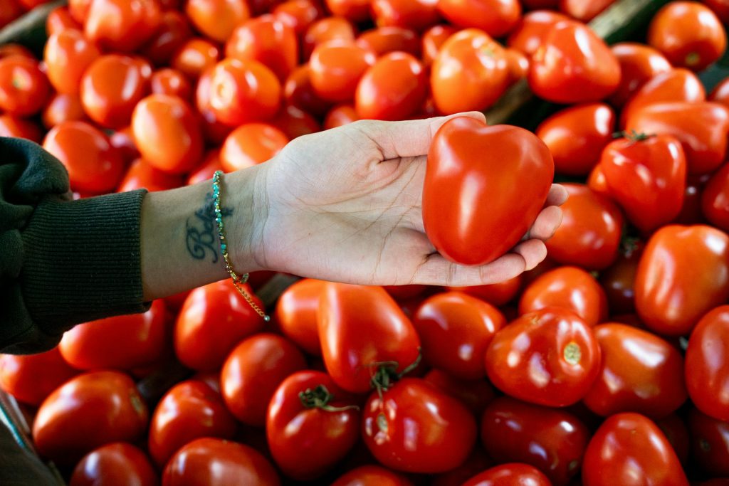 Unlocking Potential: How Bulgarian Energy Holding and Other Giants Shape the Job Market - Melhores oportunidades de emprego na Bulgária