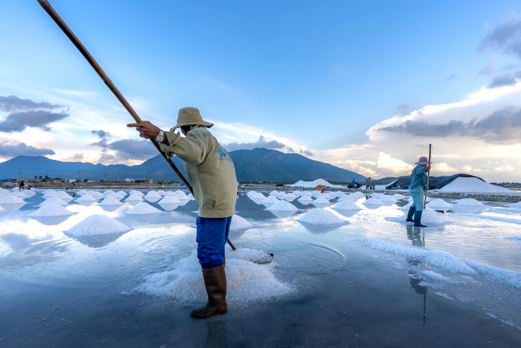 Navigating the Job Landscape: Insights into Portugals Most Prestigious Employers - Melhores oportunidades de emprego em Portugal