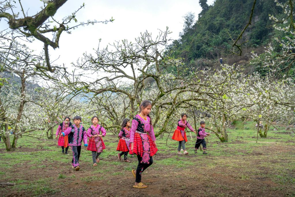 Navigating Instant Credit: The Role of Banque Saudi Fransi in 10-Minute Loan Approvals - empréstimo em 10 minutos na Arábia Saudita