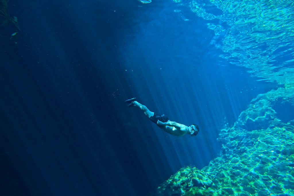 Maximizing Your Financial Potential: A Deep Dive into Bulgarias Best Low-Interest Loan Providers - empréstimo com juros baixos na Bulgária