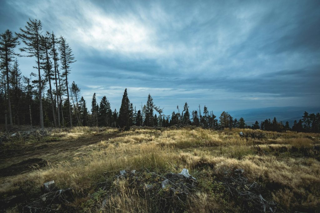 Comparative Salary Insights: Nordisk in Slovakia vs. Regional Competitors - Salários da Nordisk na Eslováquia